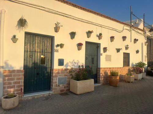 Nijar House | FlorCactus
