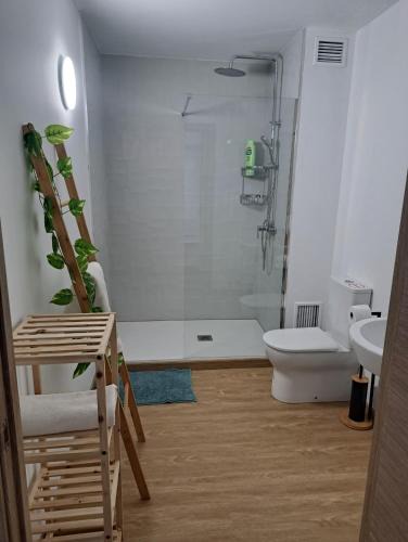 Caldas de Reis Apartment | Habitación privada en el mismo Camino de Santiago