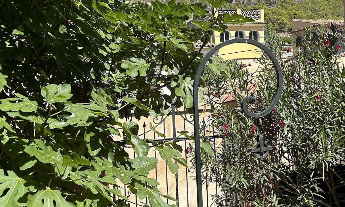 Andraitx House | Historisches Stadthaus Andratx/mallorca