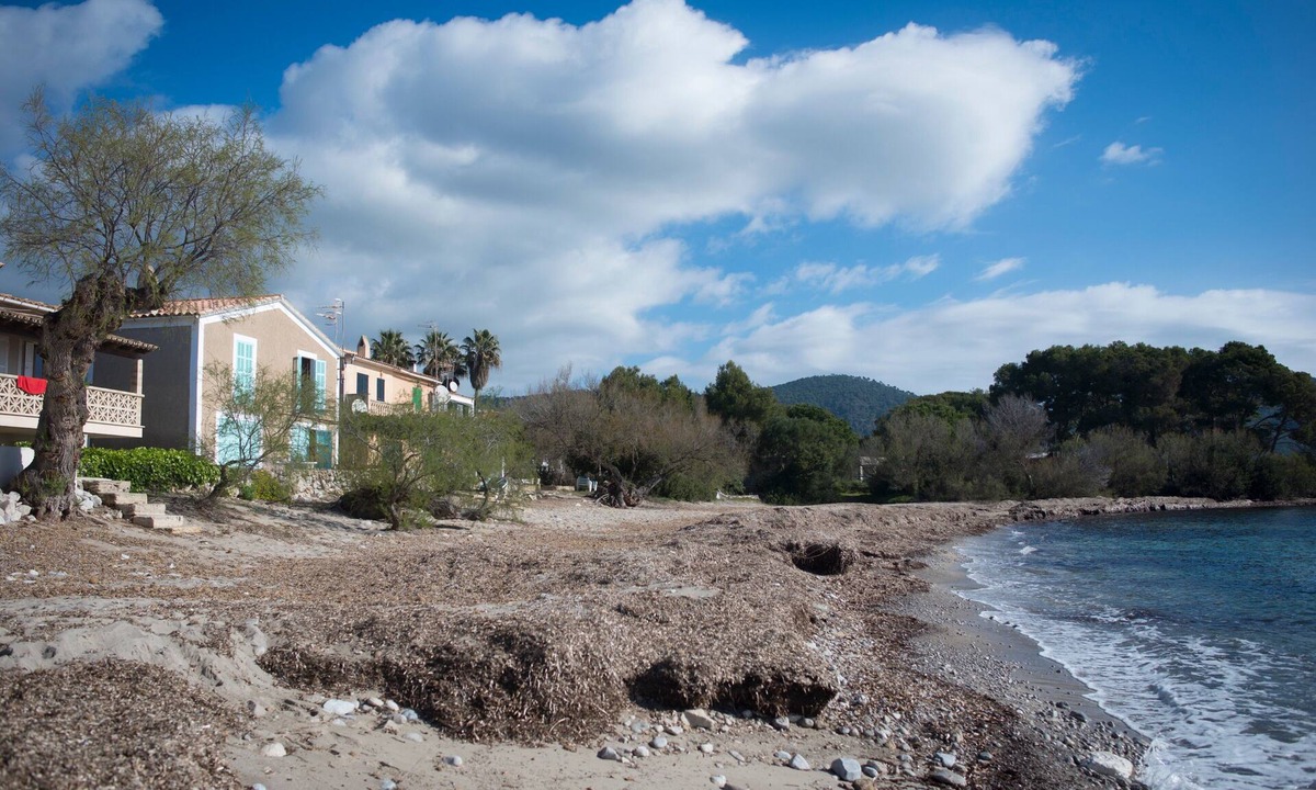 Son Servera House | Holiday Home 'Es Port Nou - Casa En La Playa' with Sea View, Private Terrace and Wi-Fi