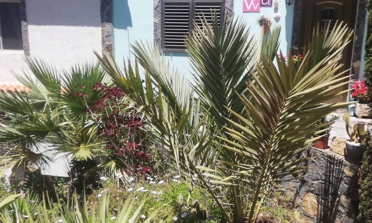 Vallehermoso House | Holiday Home "Casa Grenado" with Sea Views, Private Balcony & Wi-Fi