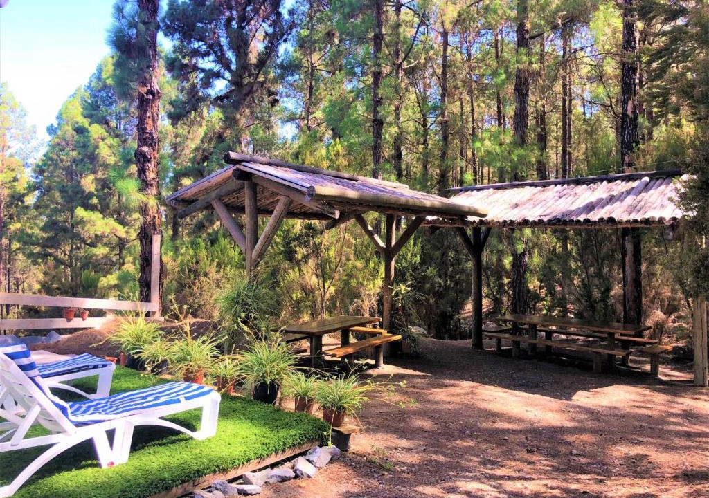 Icod de los Vinos House | Holiday Home Sendero floral