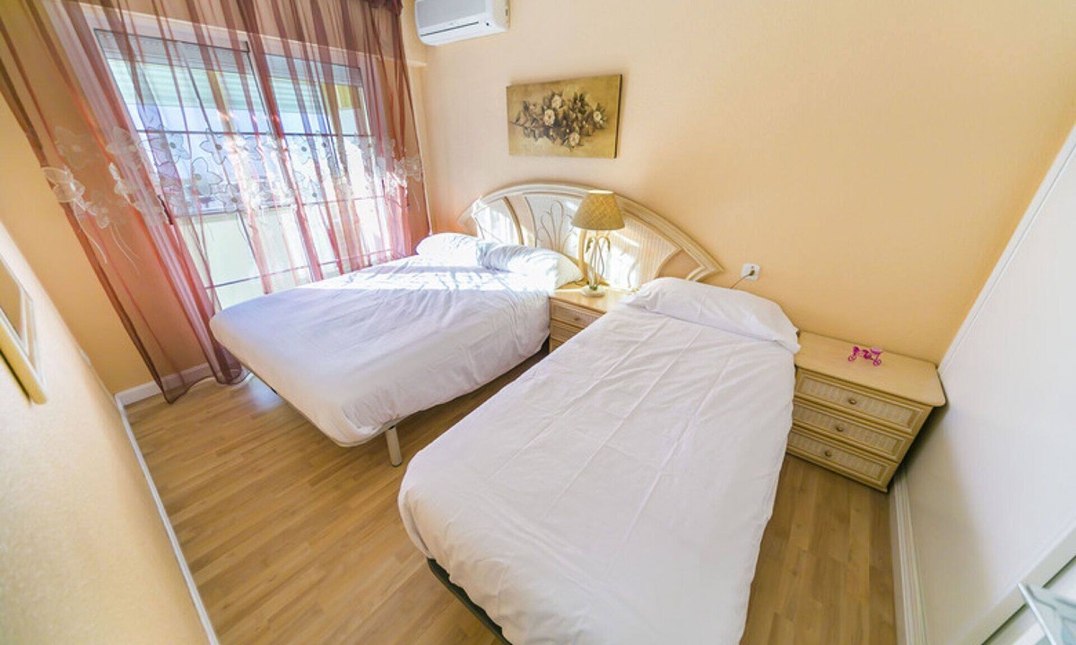 Torrevieja Apartment | Homely apartments Calle Apolo