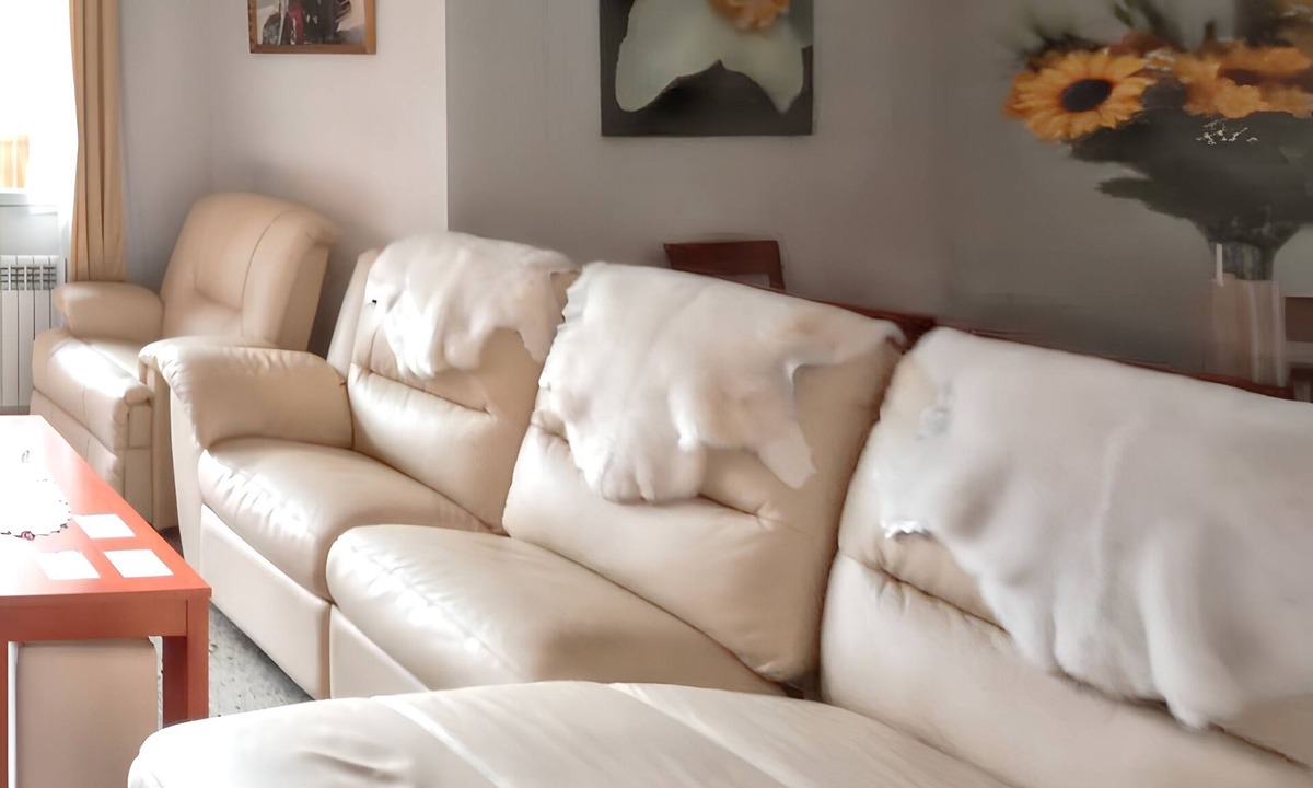 Zamora Apartment | Homerez - Spacious Apartment in Zamora Centre with Terrace