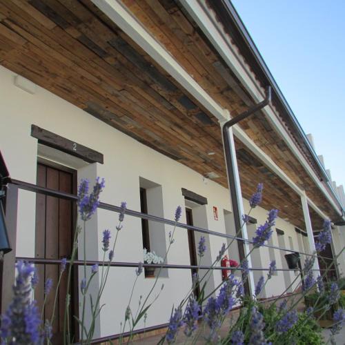 Almagro Hostel | HOSTAL Almagro - Parking