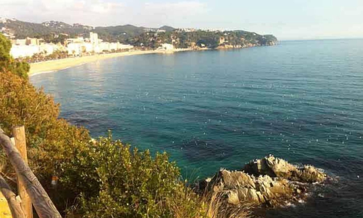 Lloret Town Center Hostel | Hostal Ribas
