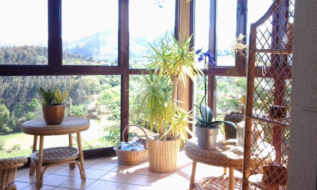 Pando Hotel | Hotel Foronda