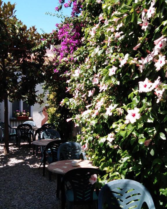 Canet de Mar Hotel | Hotel Mitus