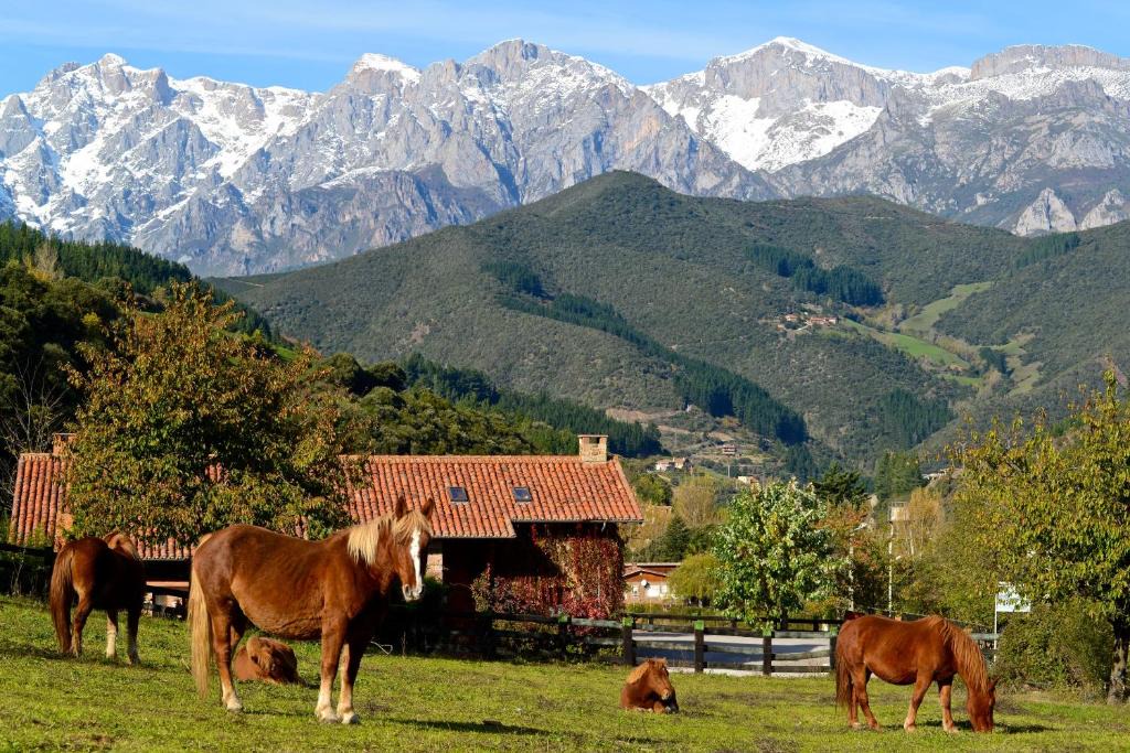 Frama Hotel | Hotel-Posada La Casa de Frama