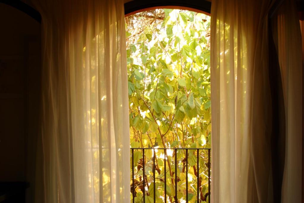 Arbucies Hotel | Hotel Torres