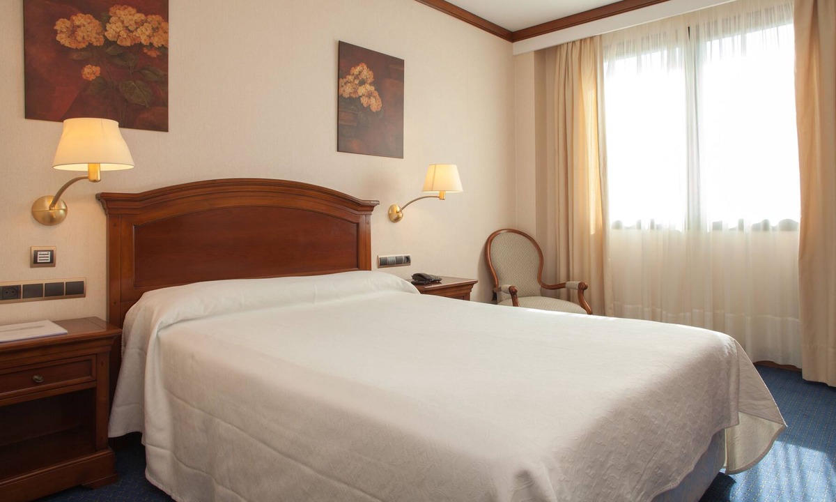 Almazan Hotel | Hotel Villa De Almazán