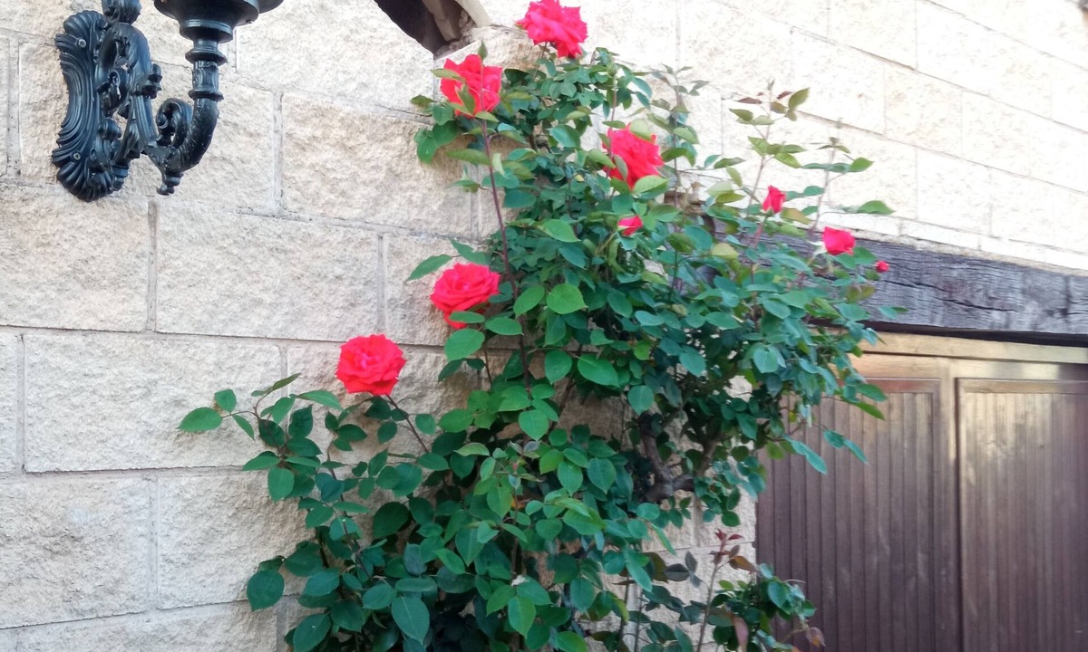 Arenzana de Abajo House | Ideal place to disconnect from the city, rest and have fun