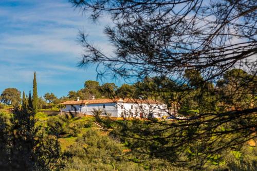 Villaviciosa de Cordoba House | Isla Virgen