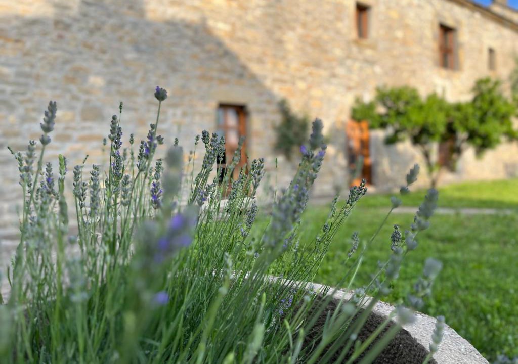 Coscojuela de Sobrarbe House | La Abadia
