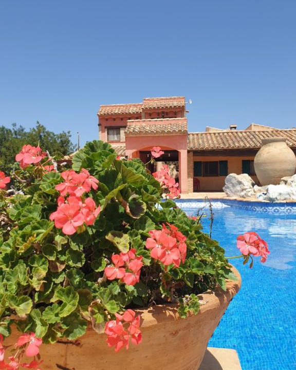 L'Ametlla de Mar Apartment | La Candelera