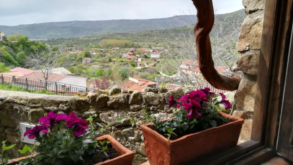 Hervas House | La Casita del Tejo