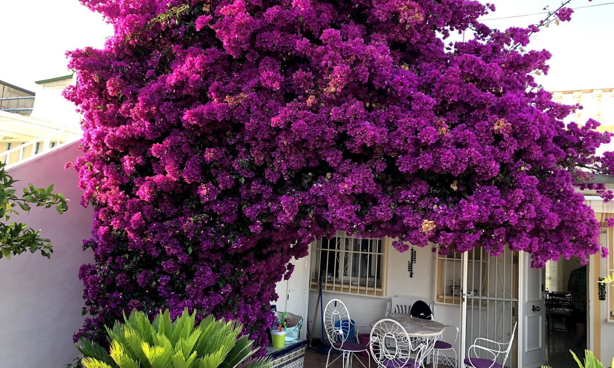 La Colina House | La Nucia - quiet location with sea views