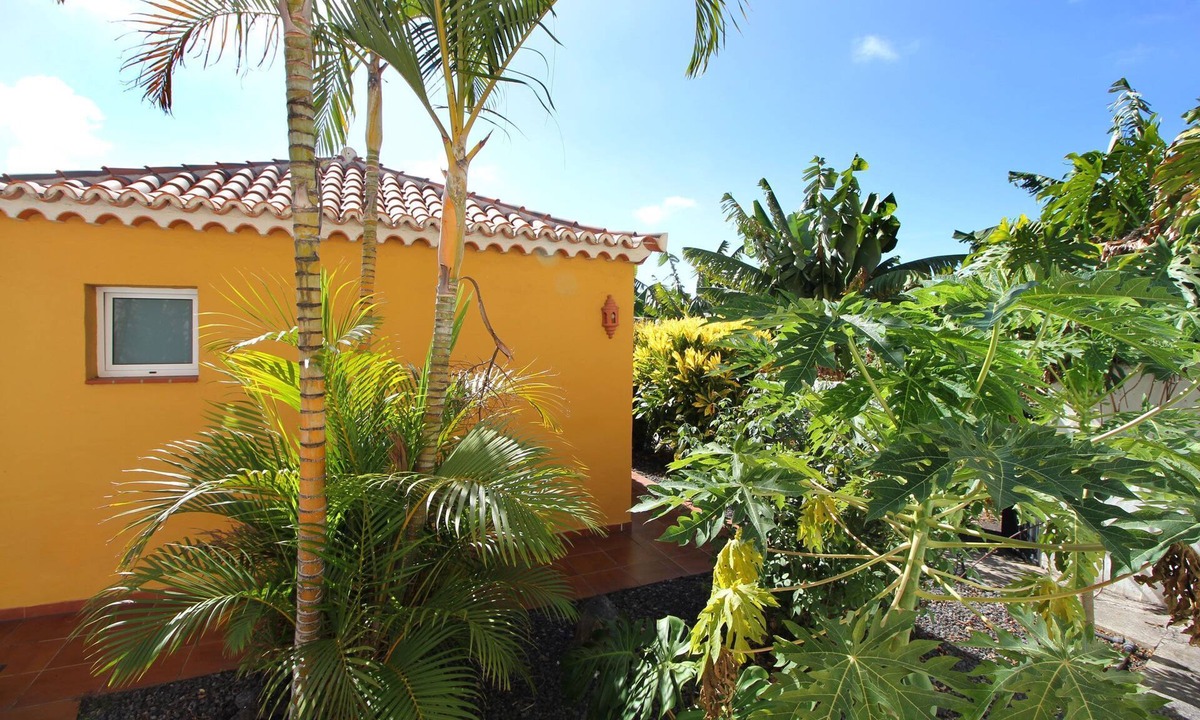 Los Llanos de Aridane Apartment | Las Papayeras B - Las Papayeras