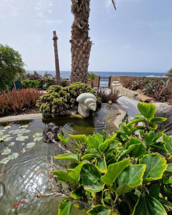 Arenas del Mar Apartment | Little Paradise in El Médano 2
