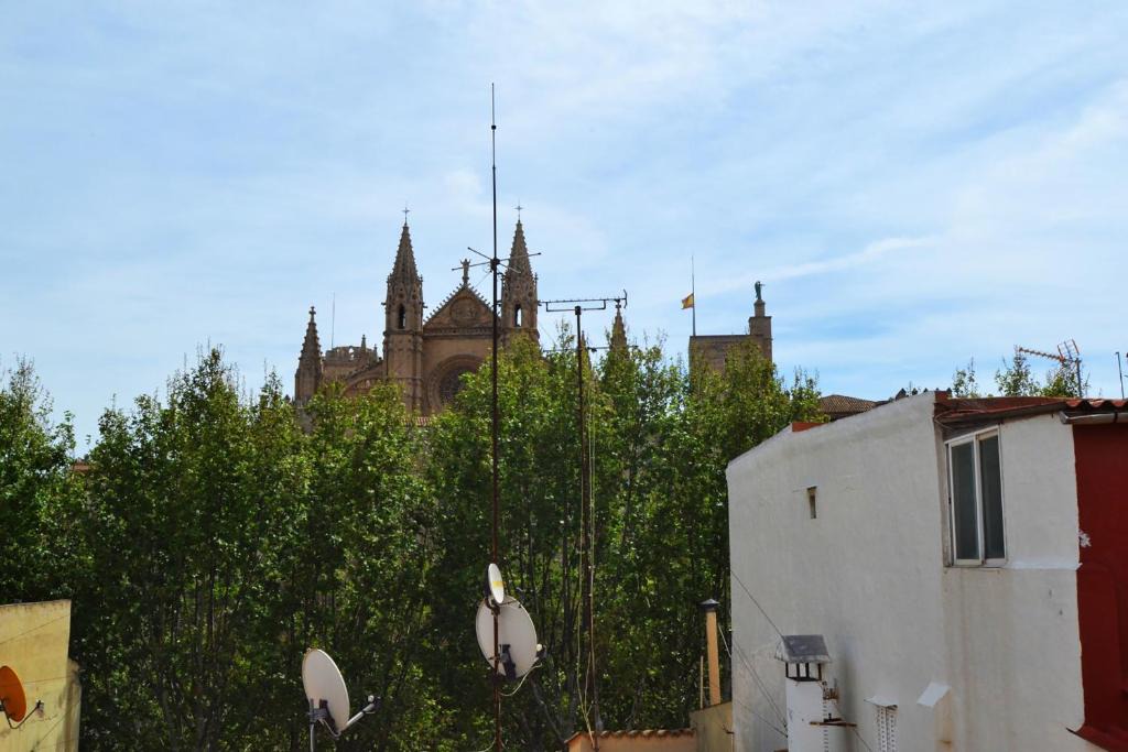 La Llotja-Born Apartment | Lonja 2