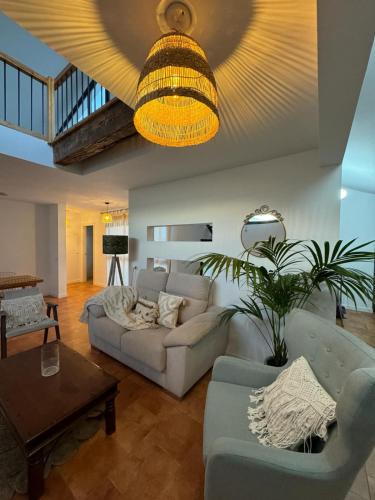 Plasencia Apartment | Los Patios.