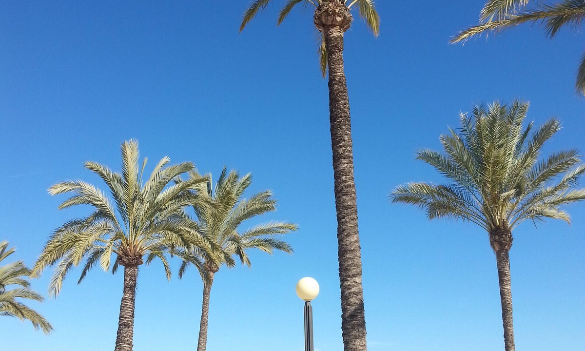 El Albir Apartment | Lovely BEST LOCATION, SUNNY Penthouse, CENTRAL HEATED, AIRCO, WIFI, BEACH, POOL