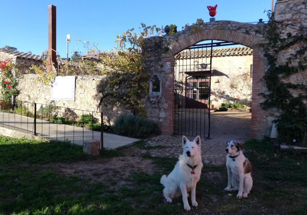Sobrestany Bed & Breakfast | Mas Del Llop Blanc - Dog friendly Hostal Rural - B&B