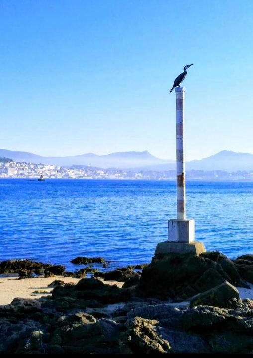 Moana Apartment | Niño do corvo Casa Moaña Cangas