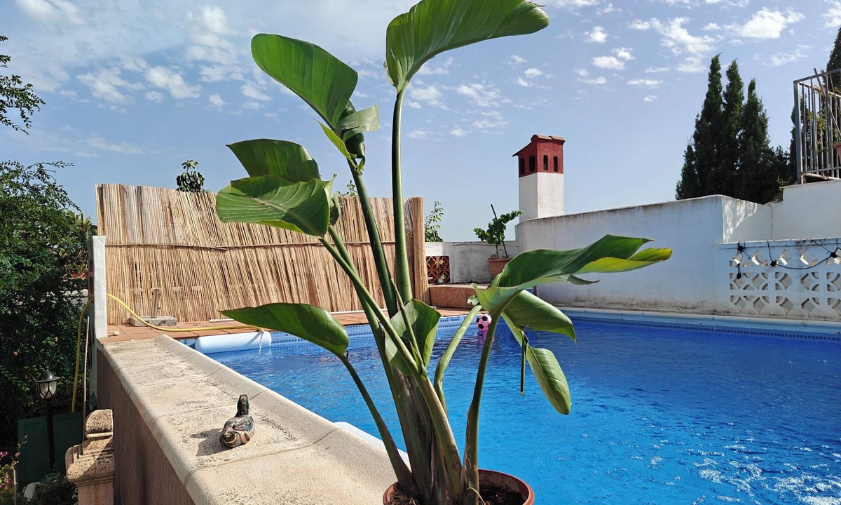 Lliria Villa | Nice 2 bedrooms villa. private swimming pool.forest park
