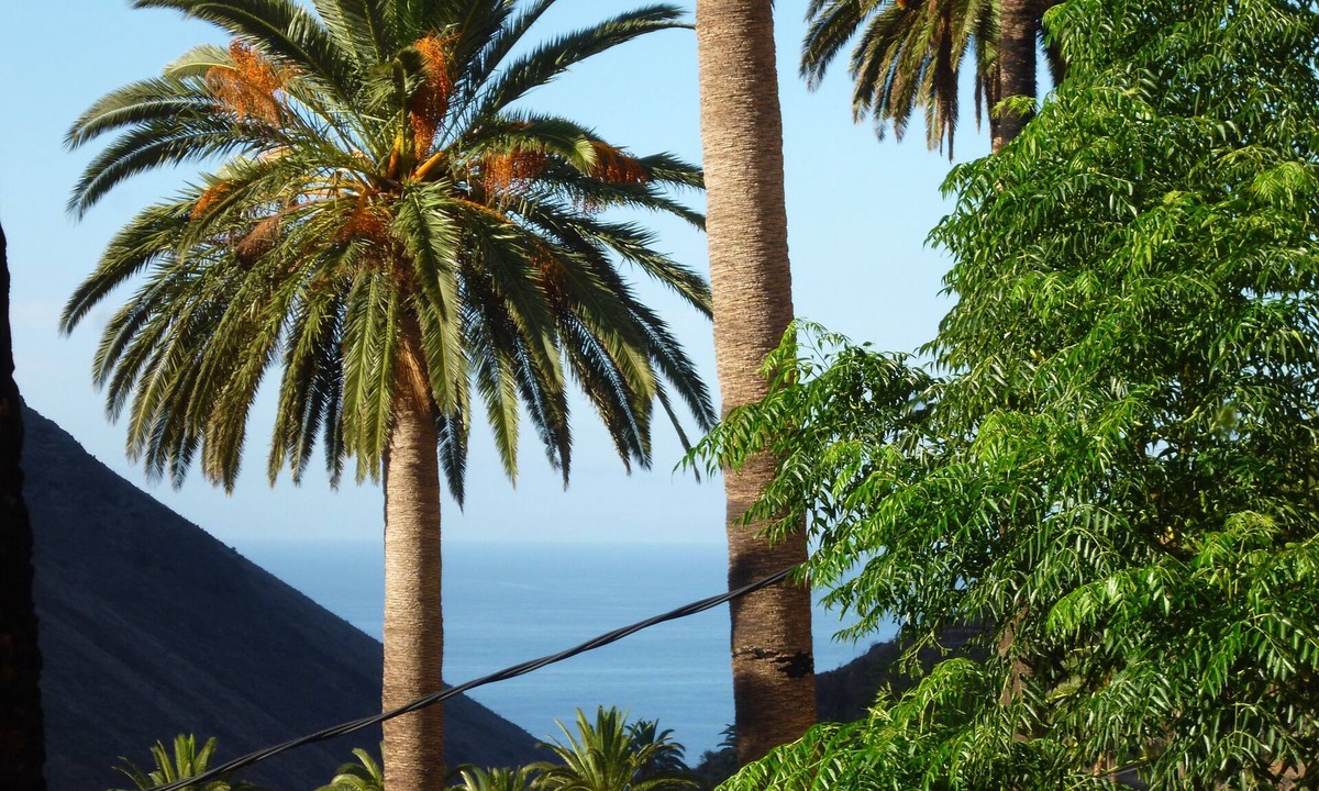 Valle Gran Rey House | Original Canarian quiet romantic country house
