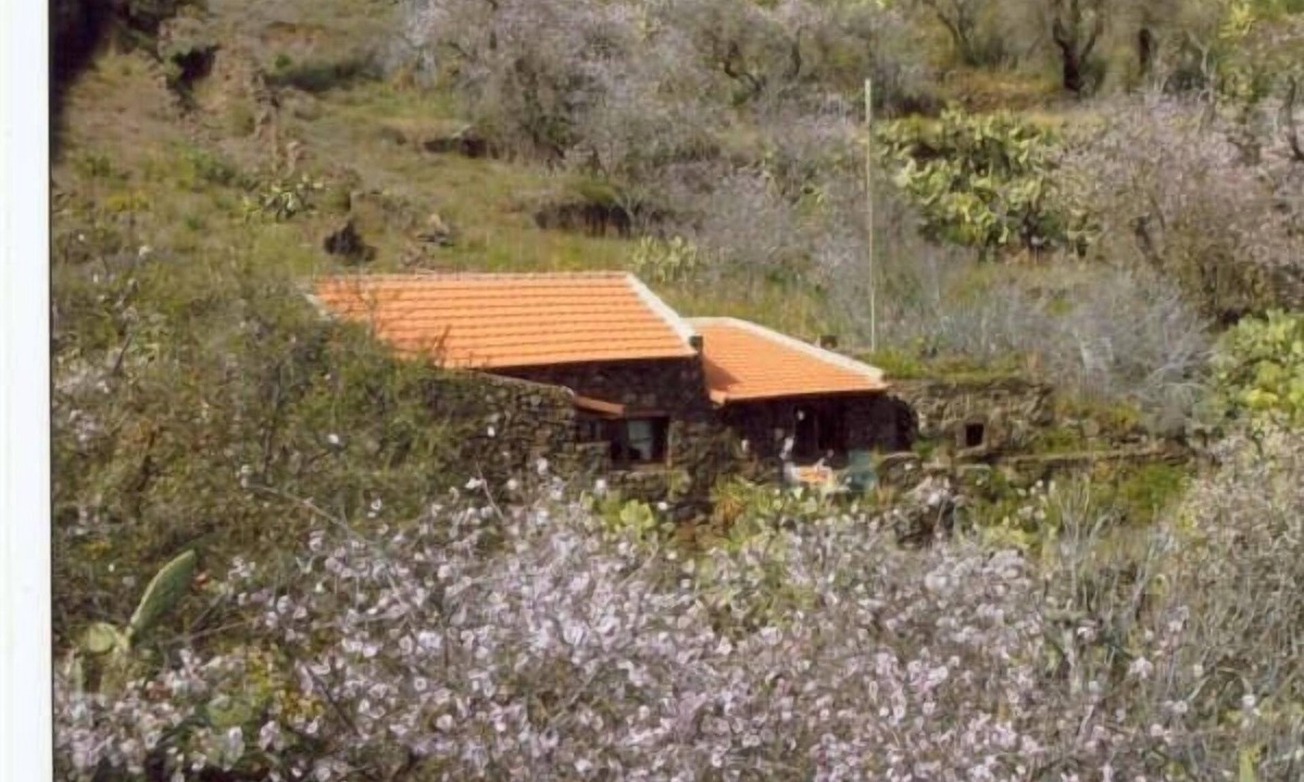 Las Casas Cottage | Rural house