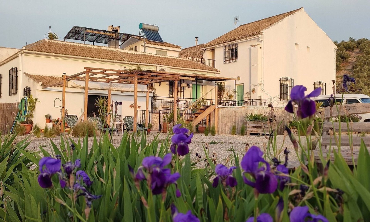 Moclin Apartment | Self-contained apartment with large outdoor space, pool and terrace