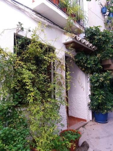 Quesada House | Spacious comfortable house in Quesada with balcony