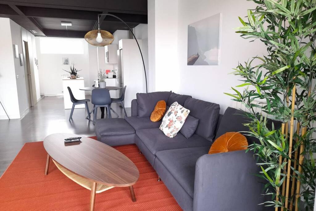 Alcobendas Apartment | Terrace loft with indoor swimming pool & SPA