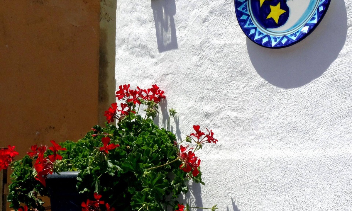 Ulldecona House | Terres de L'ebre Experience