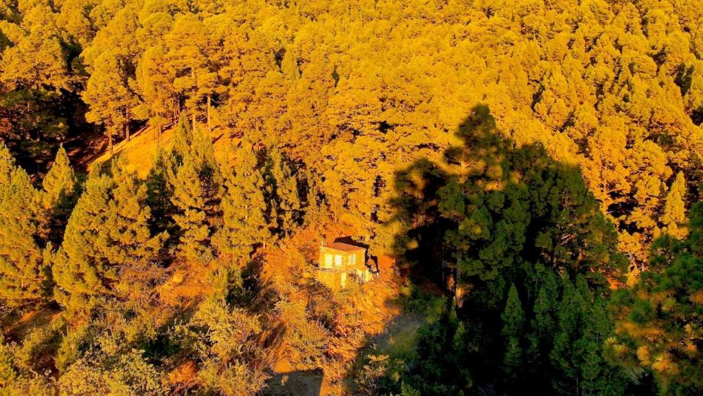 Garafia House | Tiny House Vogelnest