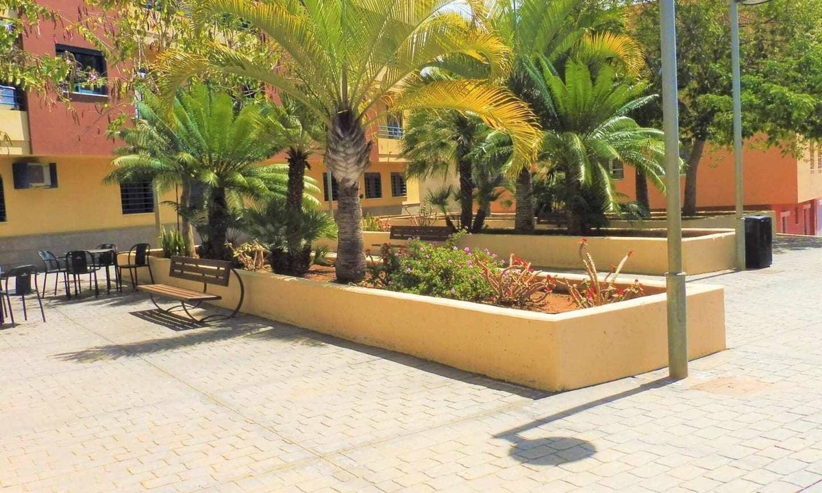 San Isidro Apartment | Vacaciones en el Sur de Tenerife