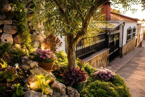 Sorihuela del Guadalimar Villa | Villa Eusebia