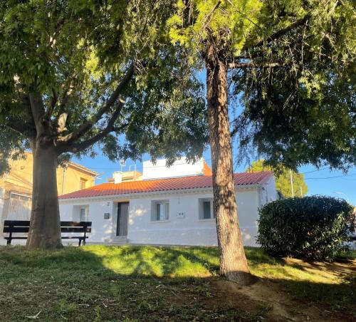Fontellas House | Vivienda turística rural cerca de Bardenas y Senda Viva