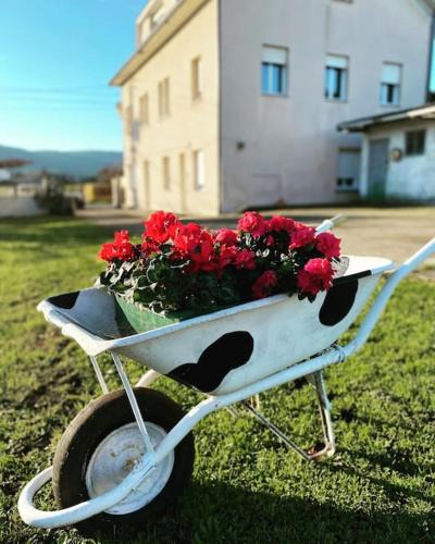Fazouro Apartment | Viviendas uso turístico REME I