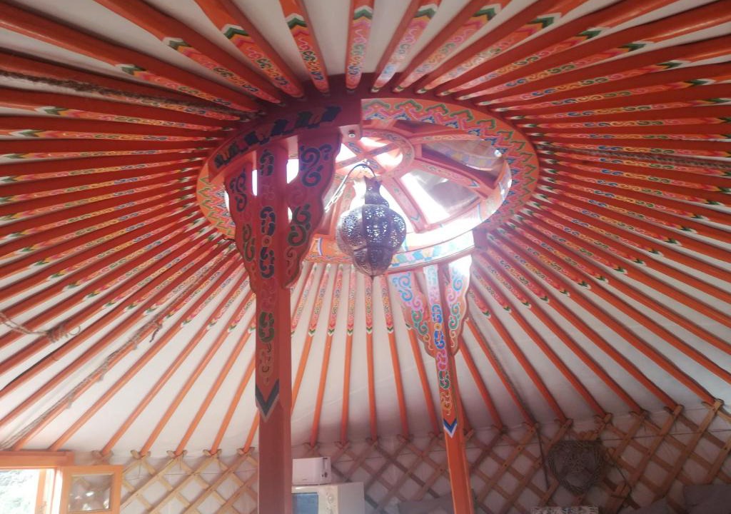 Arico Other | Yurta de Arico