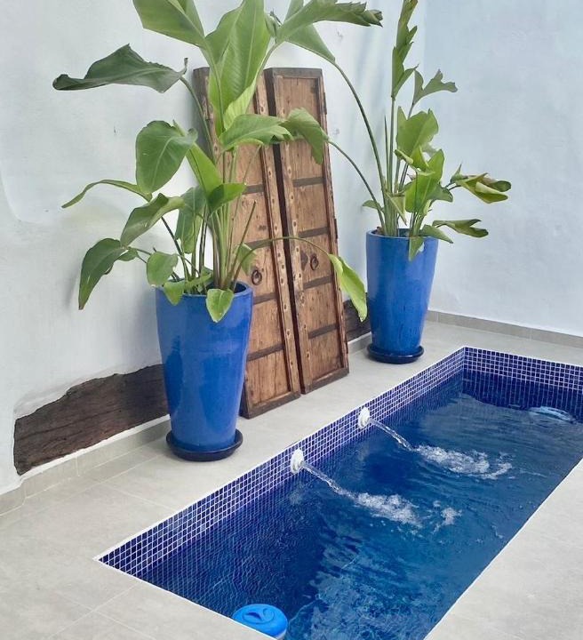 Olvera House | Zarcillo