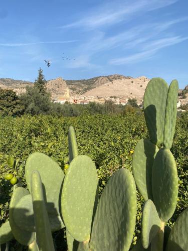 Huerta de Arriba Apartment | ZEN à RICOTE
