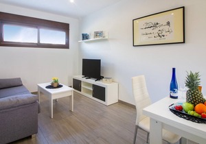 2 bedroom accommodation in San Juan de los Terrer