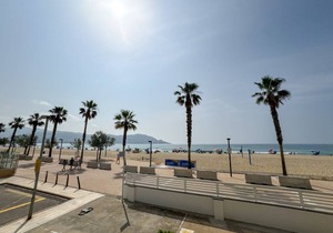 45 m² Apartment ∙ 1 bedroom ∙ 4 guests