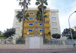 AP180 San Fernando Oliva Nova