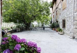 Apartment 1 - Rural House La Pandera