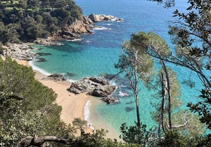 Apartments Paradise Lloret