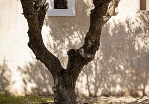 Can Noves - Villa de 4 Suites 22 y 34
