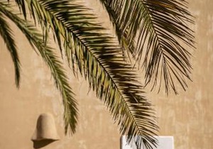 CAN NOVES - Villa de 5 suites 15-58